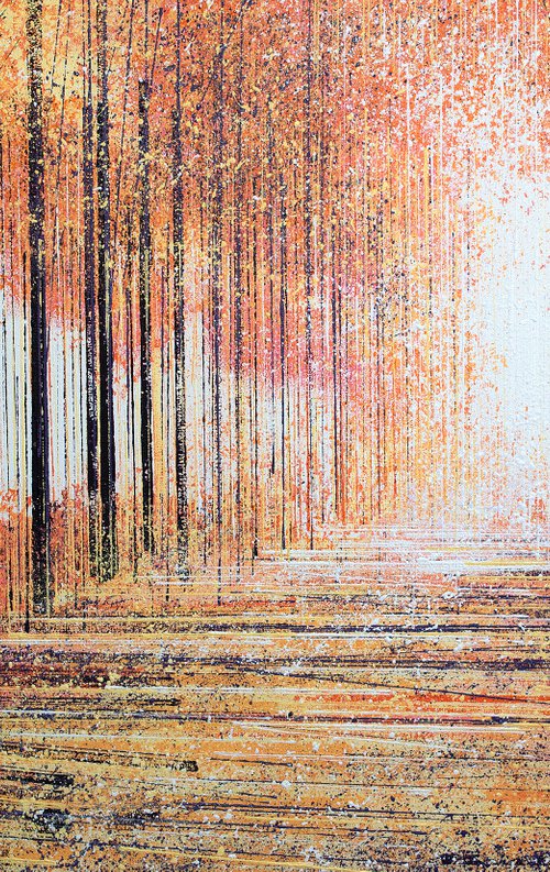 Autumn Forest At Sunset by Marc Todd