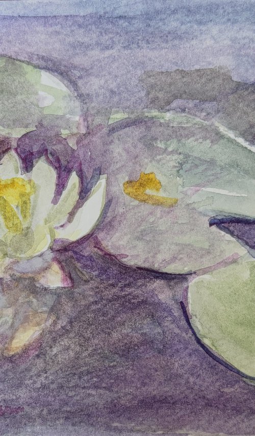 Lily 3 by Arun Prem
