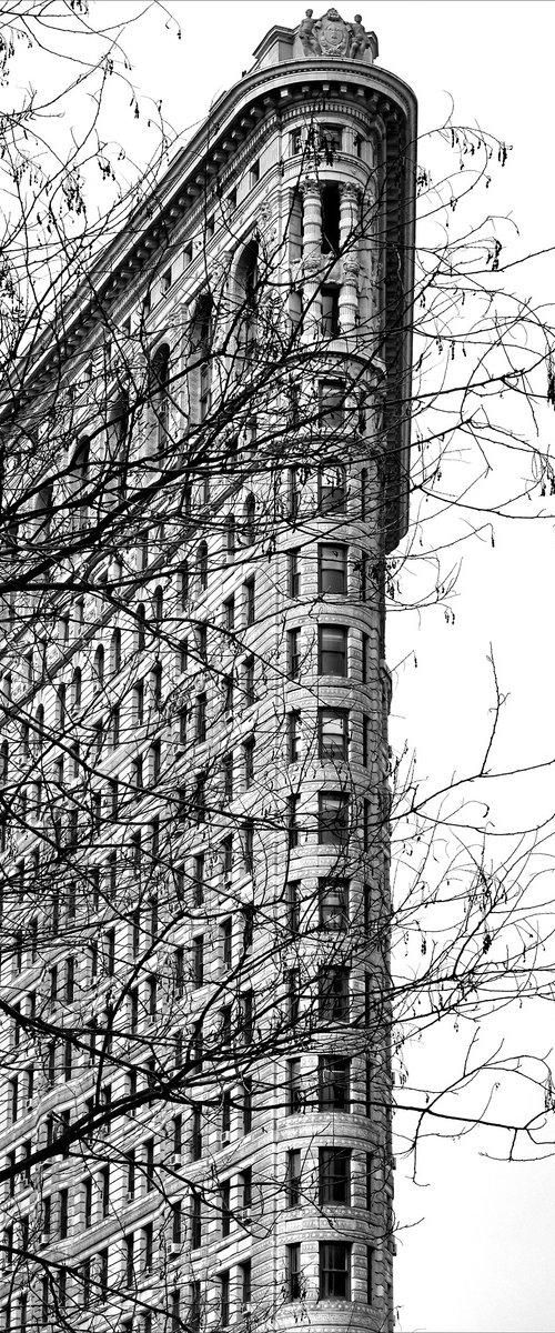 Flatiron Building - New York by Stephen Hodgetts Photography