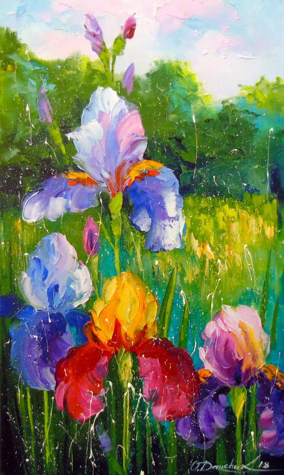 Irises