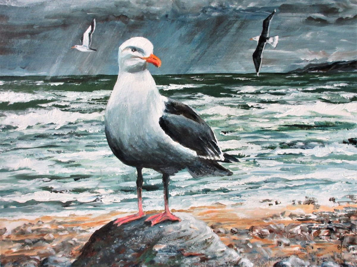 Black-Backed Gulls by Max Aitken