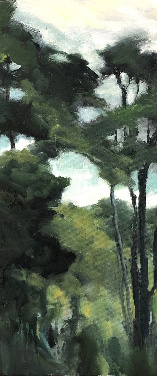 Tranquility by Joanna Farrow