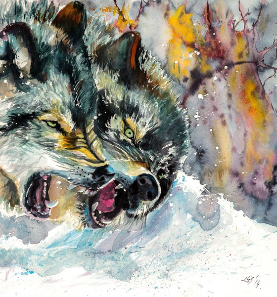 Wolves at wintertime