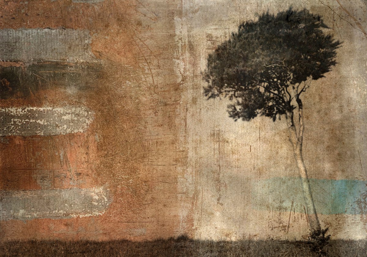 Landscape Photograph By Claire Newman-Williams, 24 X 18, 5 Degrees, Original Artwork