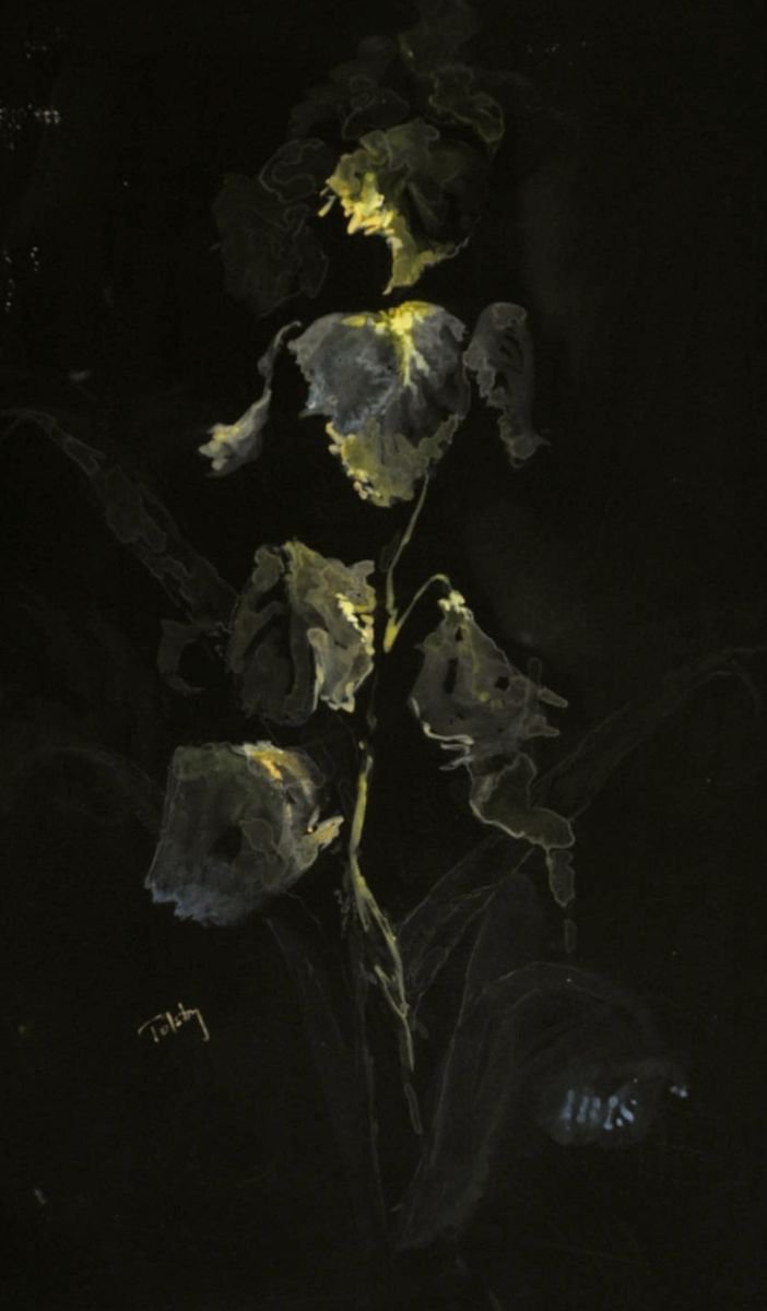 Impressionistic Botanical Acrylic Painting By Alex Tolstoy, 11 X 18, Iris, In The Black, Original Artwork