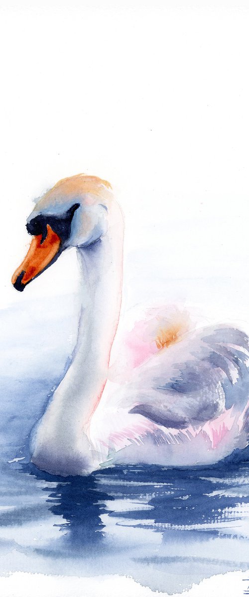 Swan #1  -  Original Watercolor Painting by Olga Tchefranov (Shefranov)