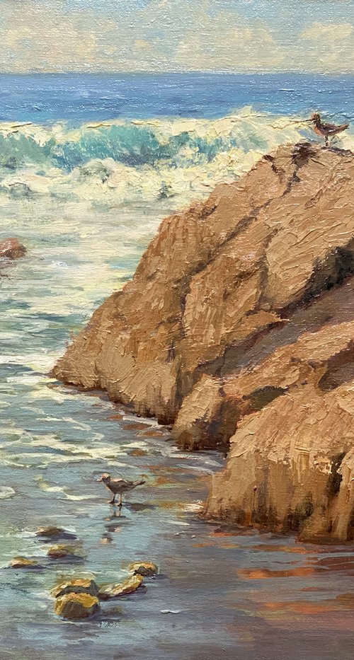 Waves and Rocks On California Coast by Tatyana Fogarty