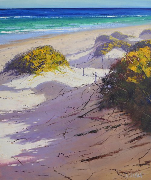 Coastal sandy beach dunes by Graham Gercken