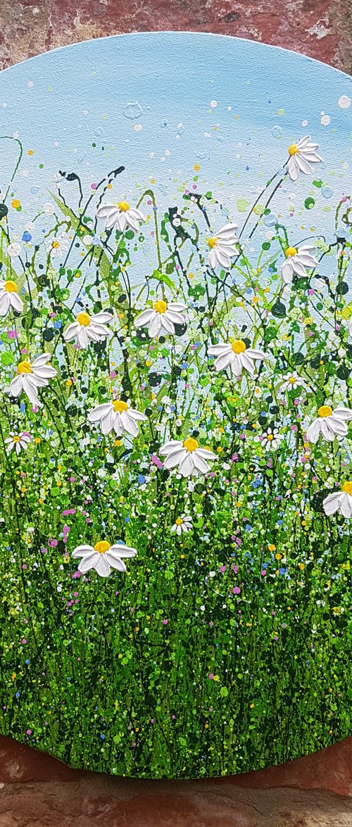 Daisy Delight #6 by Lucy Moore