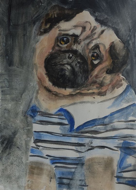 Pug (Mops) Dog