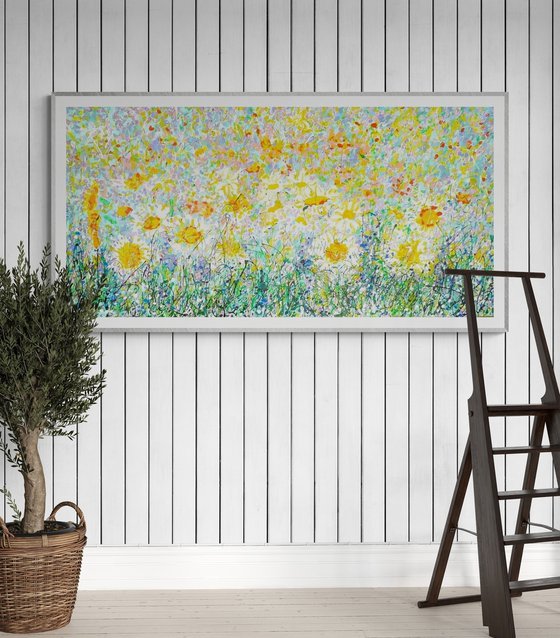 Wild Daisy Meadow 2025