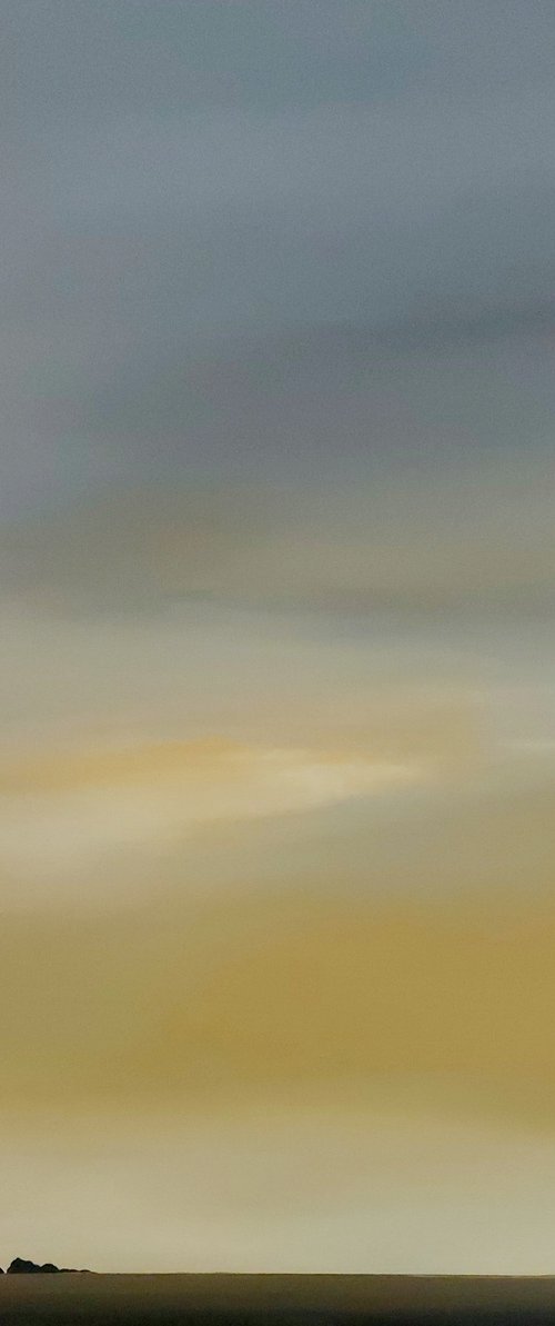 The sky was golden by Nelly van Nieuwenhuijzen
