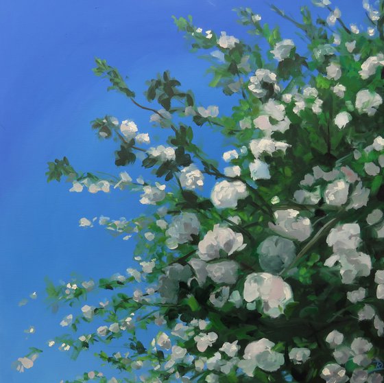 Under the blossom tree