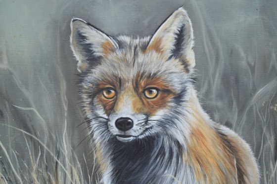 'Foxy Lady'