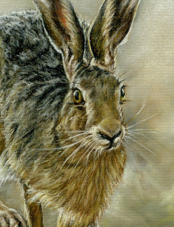 Running Hare