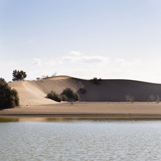 Oasis – Gran Canaria