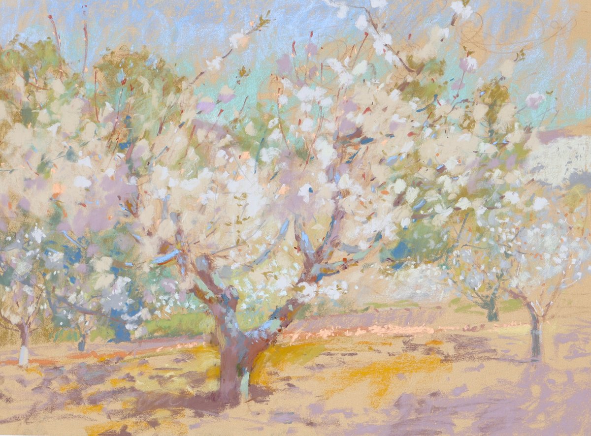 Impressionistic Pastel Drawing , Cherry Blossoms By Victoria Ramanovich, 28 X 20, Artwork For Sale On Artfinder