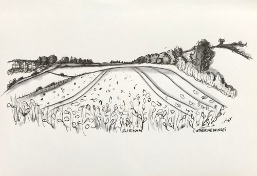 Norfolk Landscape - trees hedges fields hills by Catherine Winget