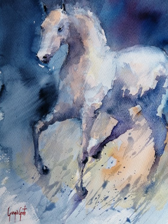 horses 25