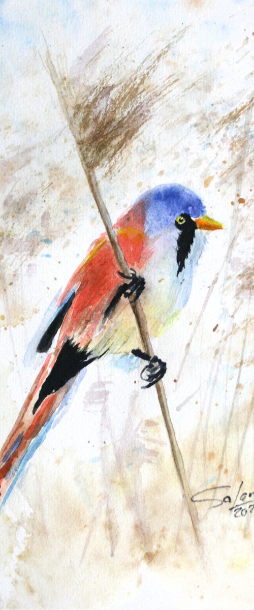 Bird IV - Animal portrait /  ORIGINAL PAINTING by Salana Art