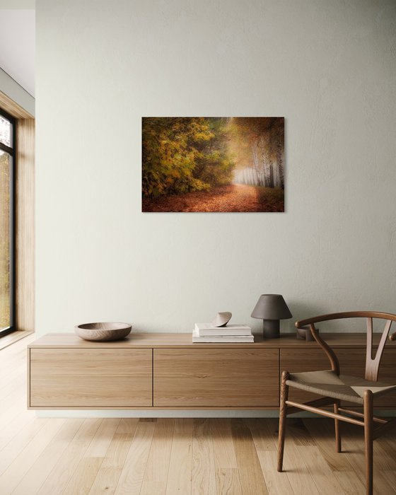 Autumn Calm III — Silent Path