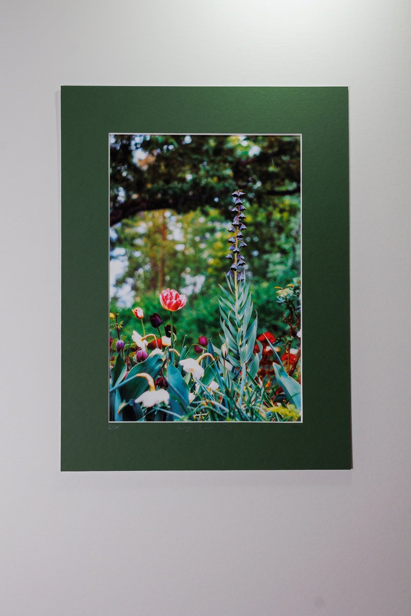 Expressive Botanical Photograph By Inna Etuvgi, 12 X 16, The Very Peak Of Spring - Mat, Original Artwork