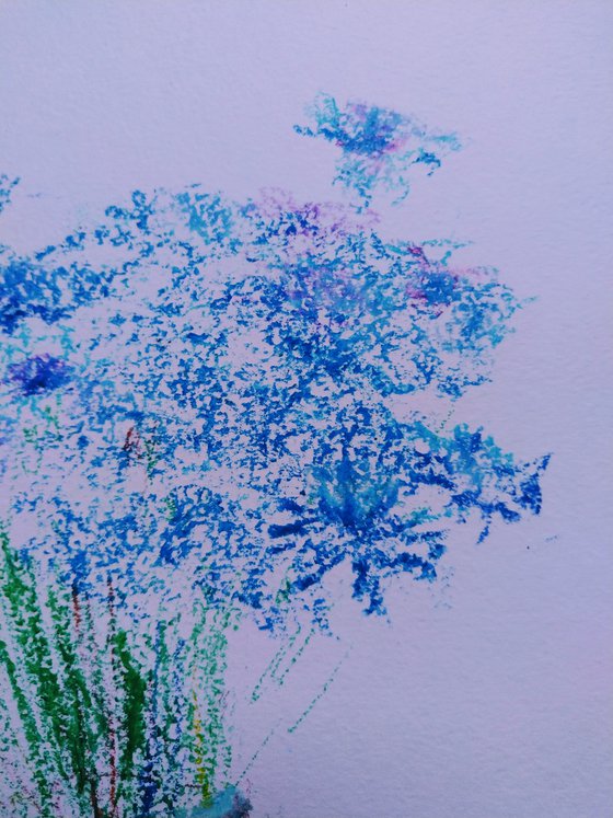 Cornflowers. Pastel drawing on paper.