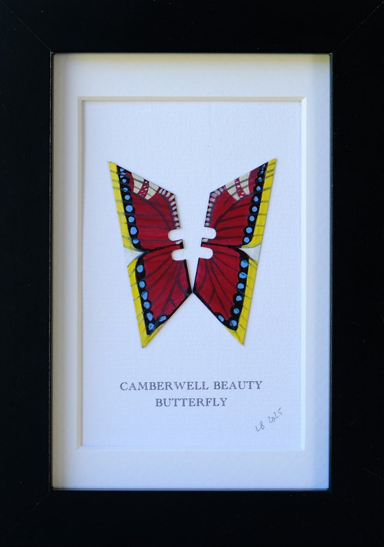 Camberwell Beauty