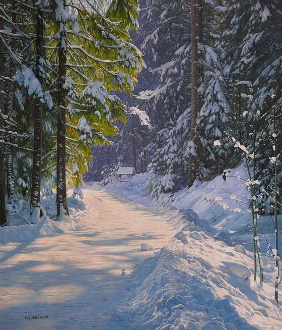 A walk through the snowy forest