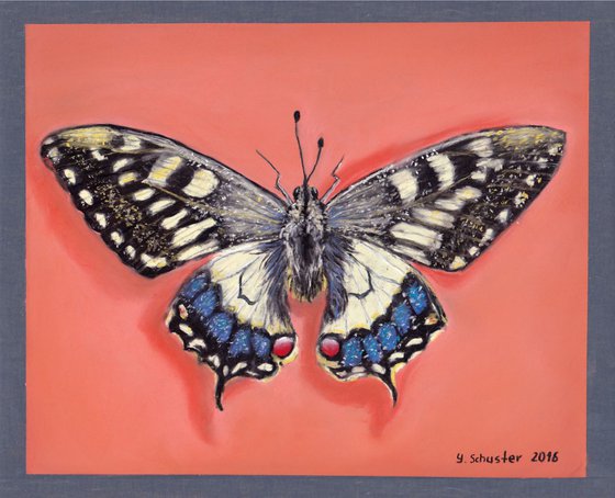 Swallowtail Butterfly