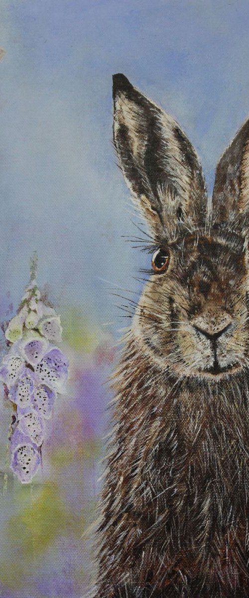 Hare by Deborah Jayne Palmer
