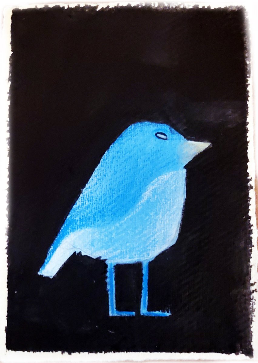Lil Bird Experiment by Mat JS Moore