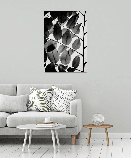 Branches and Leaves II | Limited Edition Fine Art Print 1 of 10 | 60 x 90 cm