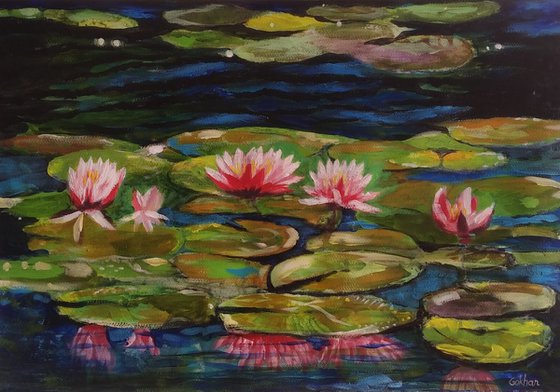 Water lilies in the blue lake