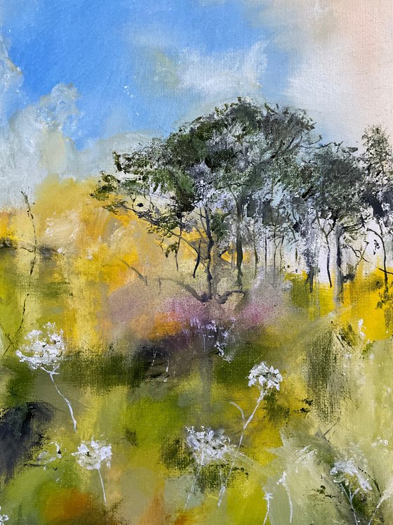 Pines, Summer