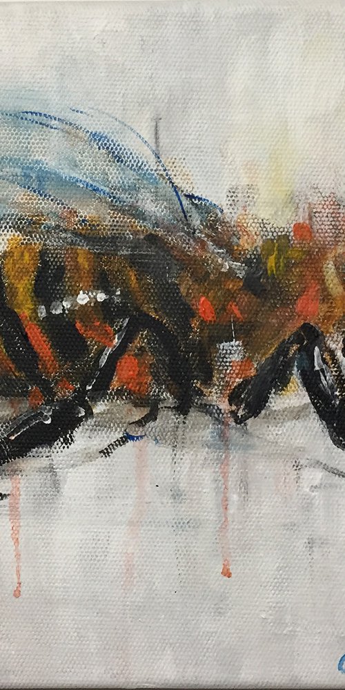 Bumble Bee by Ewen Macaulay