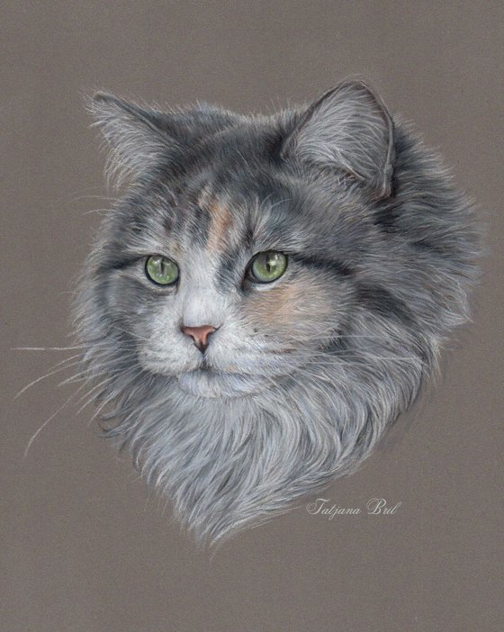 Siberian cat pastel art