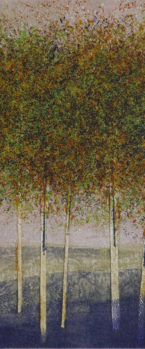 Copse by Sue  Roe