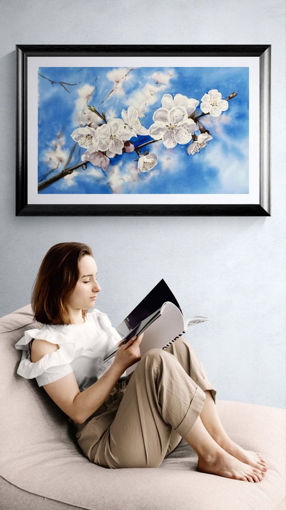 Blooming apricot