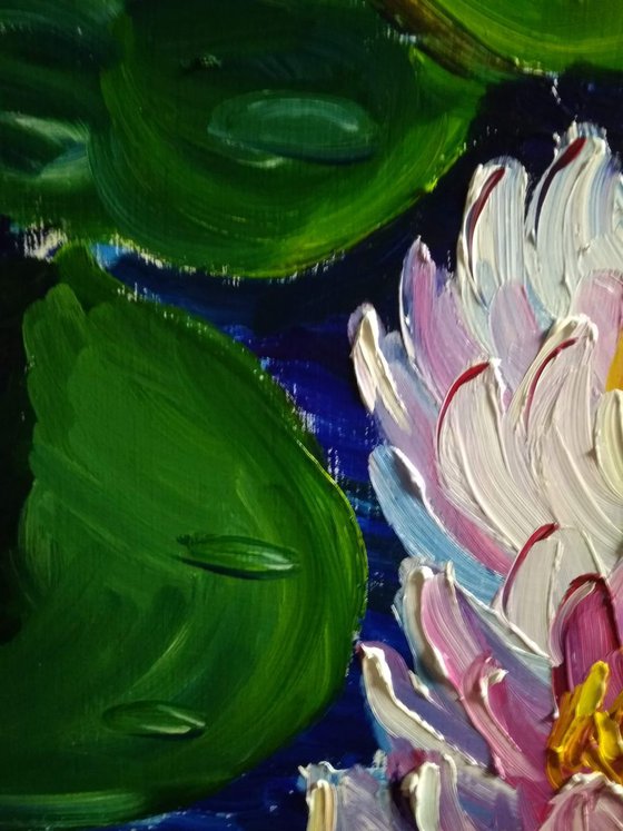 Waterlilies