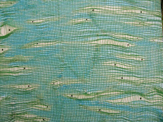 FISH AGAINST PLASTIC 24x24