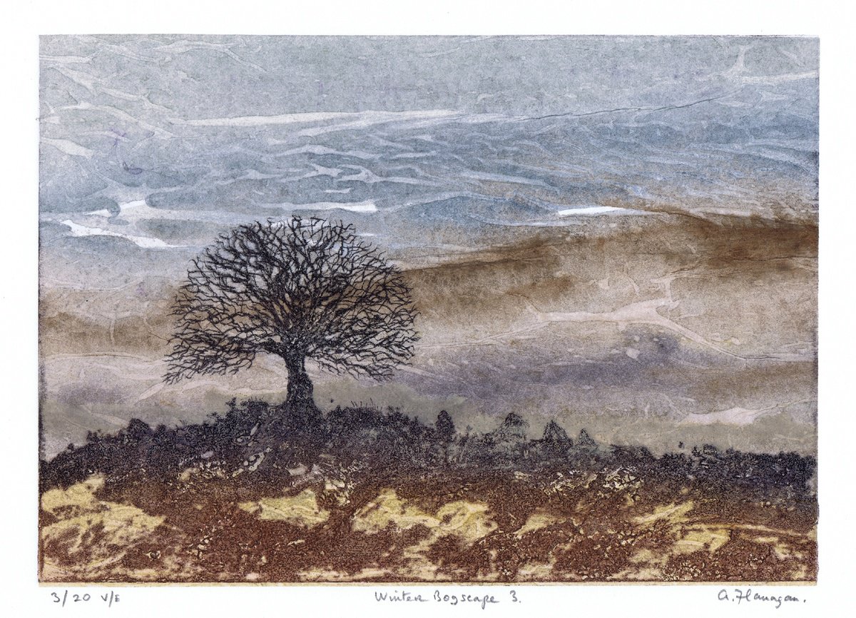 Impressionistic Landscape Etchings & Engravings By Aidan Flanagan Irish Landscapes, 17 X 11, Winter Bogscape 3 - Ireland, Artfinder