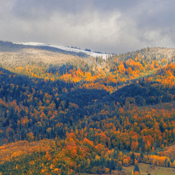 Bright colors of autumn.