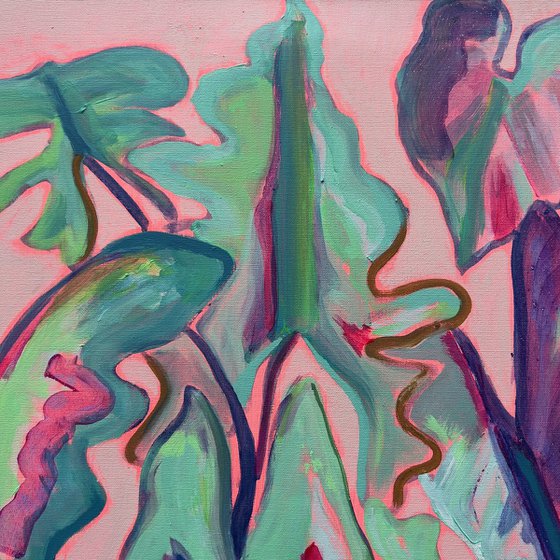 Alocasia Study III