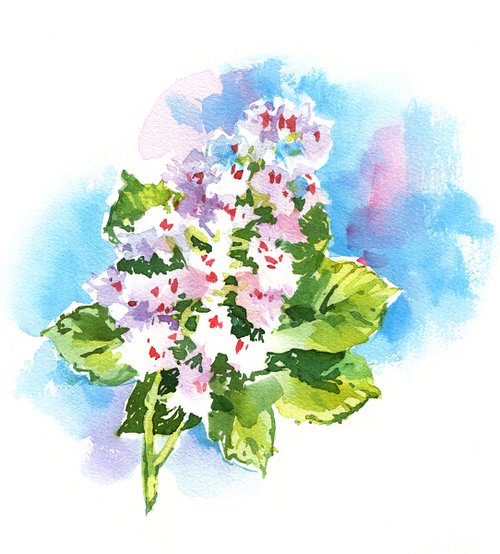 "Blooming chestnut branch" original watercolor painting by Ksenia Selianko