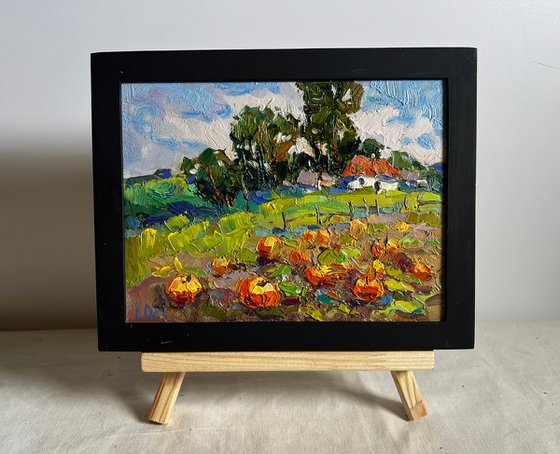 There are pumpkins growing