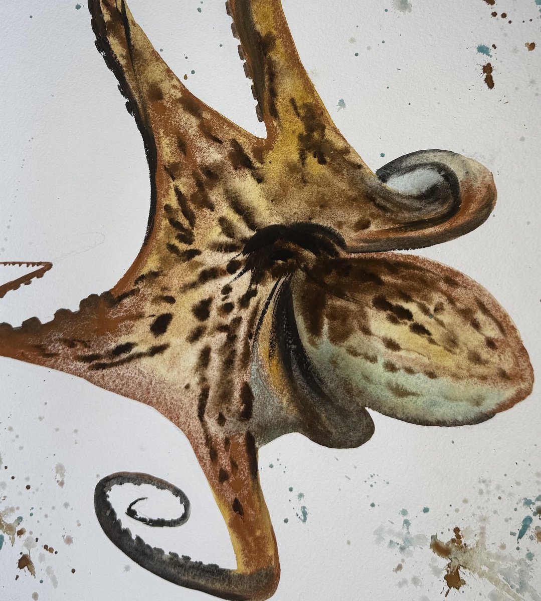 Impressionistic Animal Watercolour By Yuliia Sharapova, 16 X 20", Octopus Polpo, Original Artwork