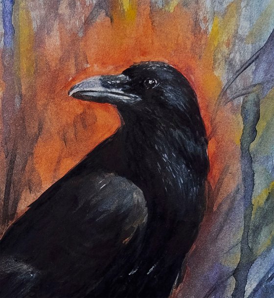 Bird. The Raven.