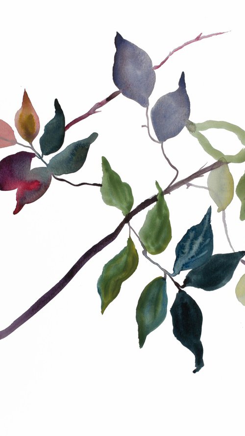 Branch Study No. 25 by Elizabeth Becker