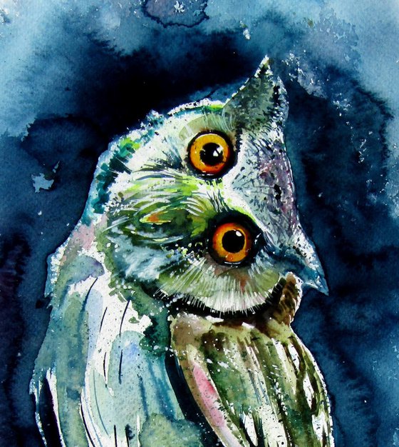 Owl watching at night